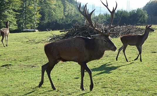 Jugenddorf Hoher Meißner Informationen